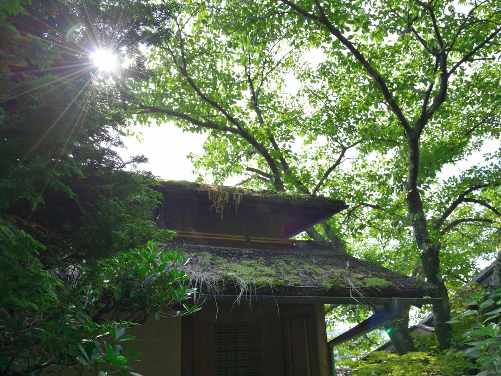 Hotel Bingoya Kurashiki Exterior foto